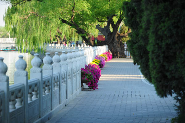 Beihai Park 